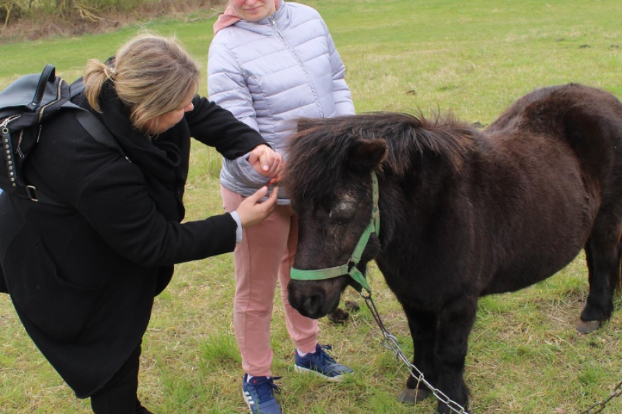 5 – Uczestniczka w asyście terapeutki głaszcze kucyka.