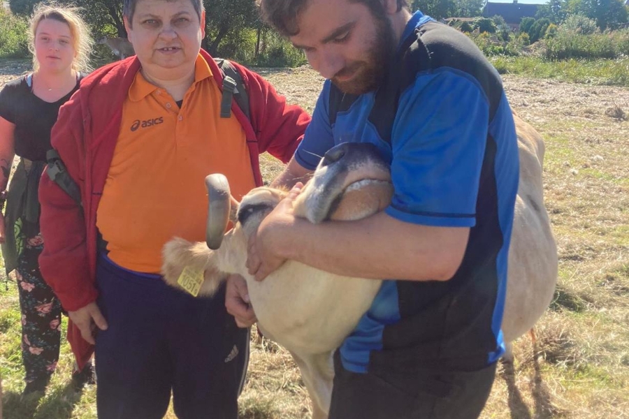 4. Gospodarz głaszczący krowę po głowie na tle Uczestniczek.
