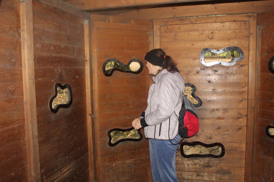 7.Uczestniczka w drewnianej altanie widokowej patrząca na zwierzęta