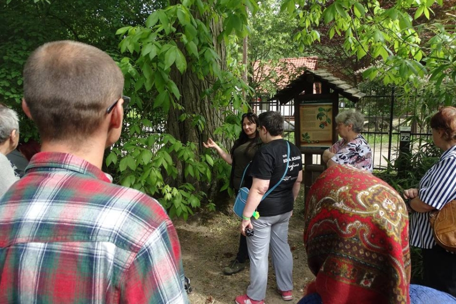 Przewodniczka opowiadająca grupie uczestników o drzewach