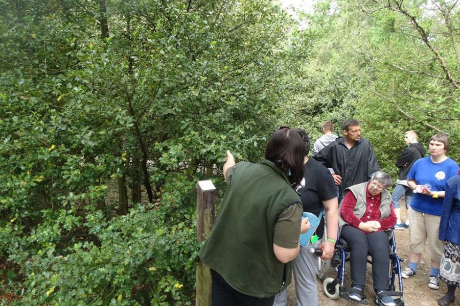 Przewodniczka opowiadająca grupie uczestników o drzewach