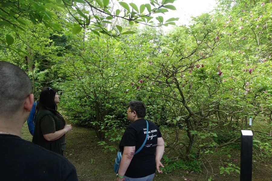 Przewodniczka opowiadająca grupie uczestników o drzewach