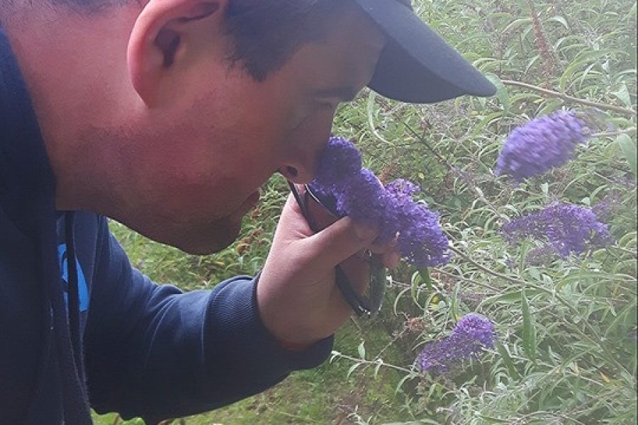 Uczestnik wącha kwitnący bez