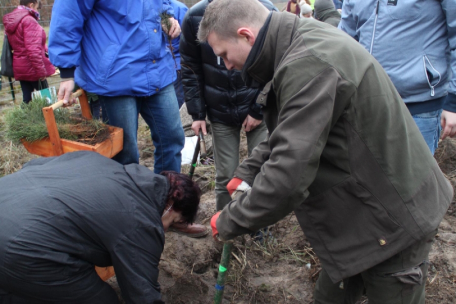 5 – Uczestnicy wraz z terapeutą oraz pracownikiem nadleśnictwa sadzą drzewka.