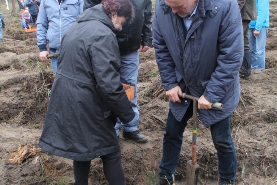 7 – Uczestnicy wraz z Burmistrzem Miasta i Gminy Gryfino sadzą drzewka.